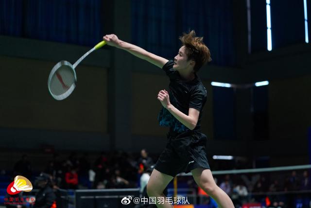 的教科书式 的教科书式