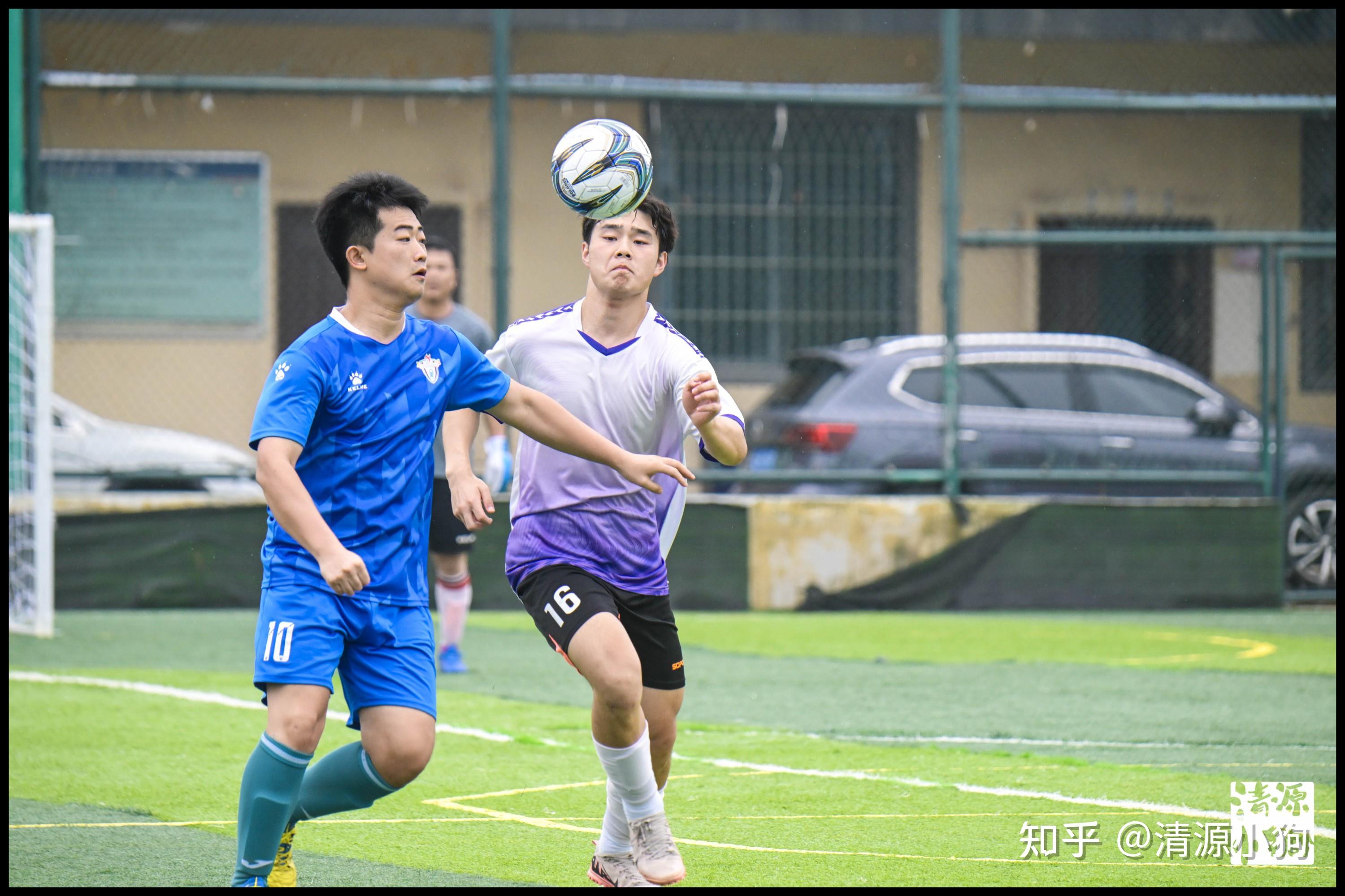 当地的酒店 当地的酒店