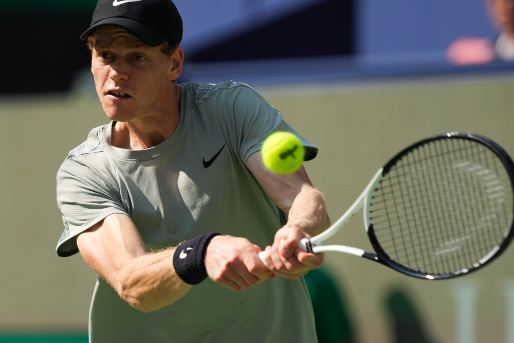 来自非洲的 来自非洲的